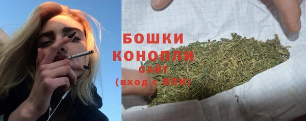 молекула духа Каменск-Шахтинский