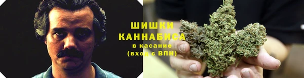 прущий лед Каменногорск