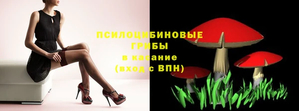 бутират Каменка