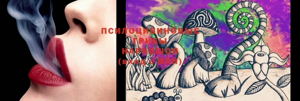 бутират Каменка