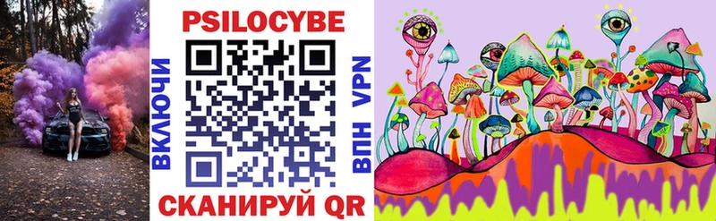 Галлюциногенные грибы Psilocybe  блэк спрут рабочий сайт  Ногинск  что такое  